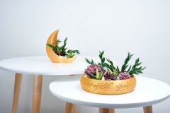 3D Printed Succulent Planter  Magical Elven Elegance Decor 