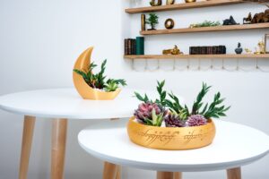 Middle Earth Inspired Fantasy Ring 3D Printed Succulent Planter |Magical Elven Elegance Decor